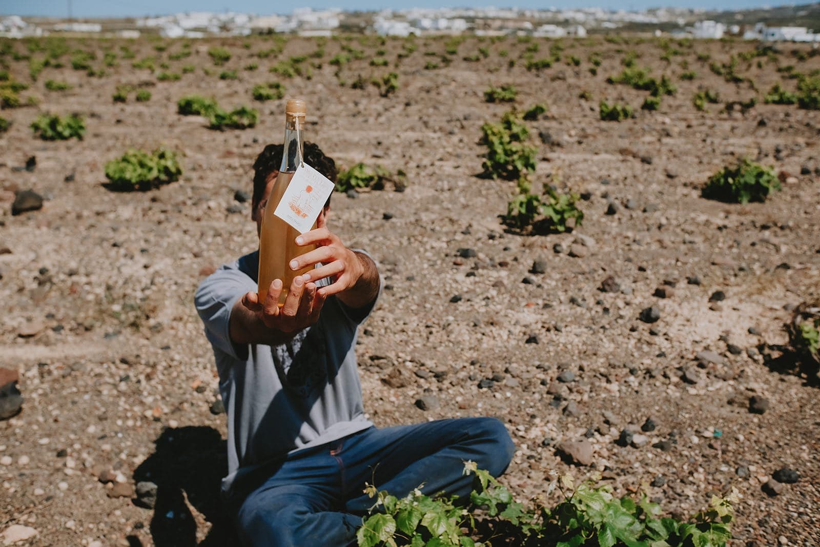 Private Wine & Culture Tour with a Santorini Winemaker